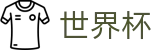 2026世界杯赛程-决胜绿茵之巅